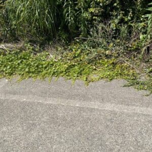 長崎市で家のちょっとした整理で出た不用品処分